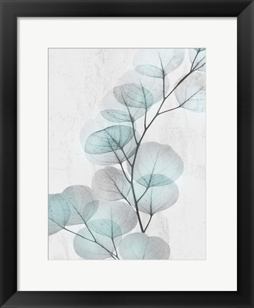 Framed Eucalyptus Glow 4 Print