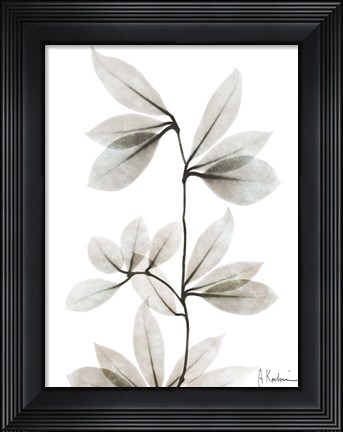 Framed Sandy Wonder 3 Print