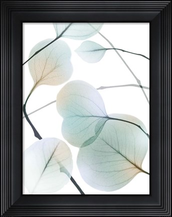 Framed Sunkissed Eternity 2 Print