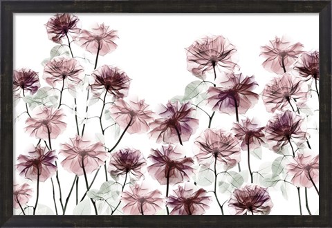 Framed Magnificent Flower Bed 1 Print