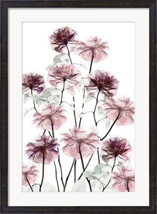 Framed Magnificent Flower Bed 2 Print