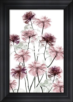 Framed Magnificent Flower Bed 2 Print