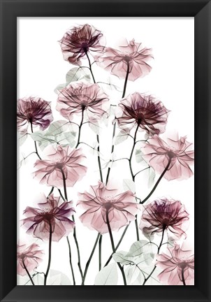 Framed Magnificent Flower Bed 2 Print