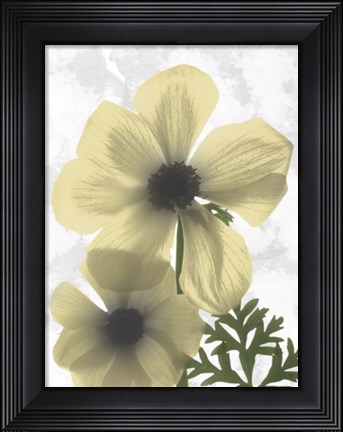 Framed Bright Magnolia 2 Print