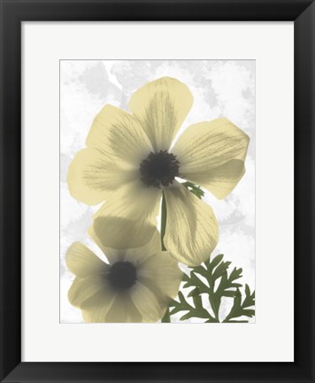 Framed Bright Magnolia 2 Print