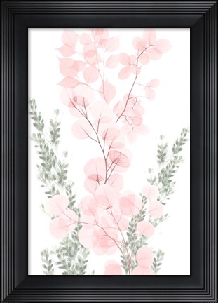 Framed Blushing Bouquet 1 Print