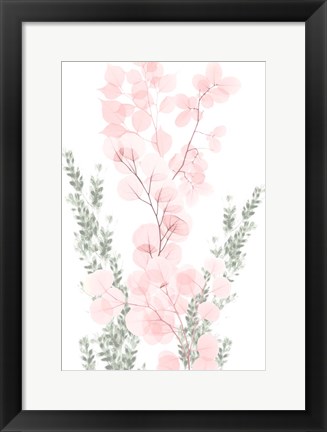 Framed Blushing Bouquet 1 Print