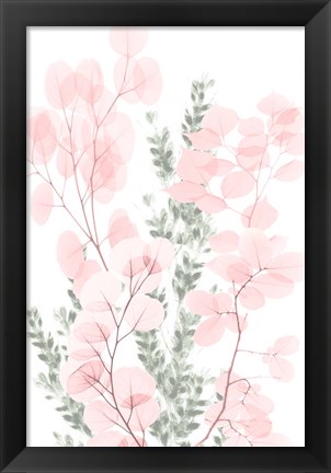 Framed Blushing Bouquet 2 Print