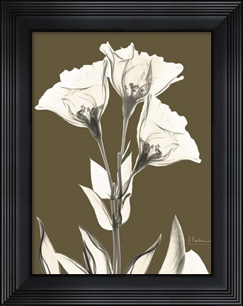 Framed Gentian Fall Print