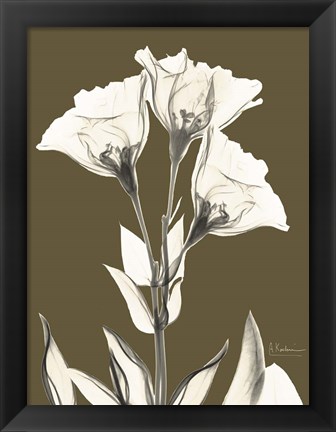 Framed Gentian Fall Print