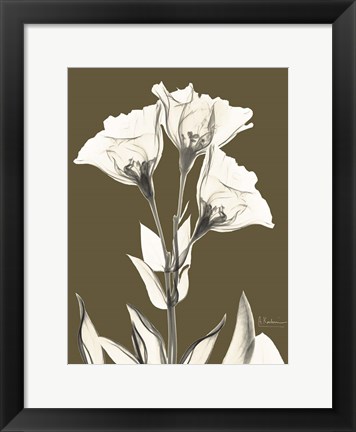 Framed Gentian Fall Print