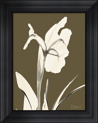 Framed Iris Fall Print