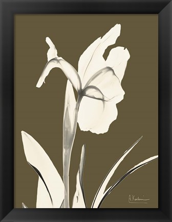 Framed Iris Fall Print