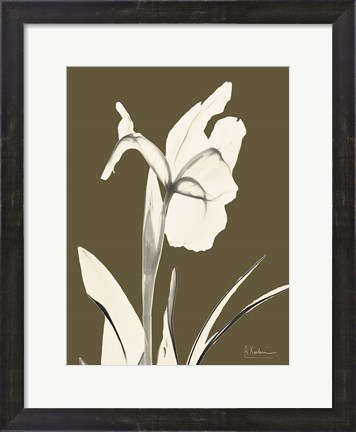 Framed Iris Fall Print