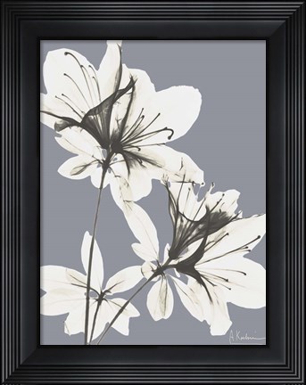 Framed Splendid Autumn Beauty 1 Print