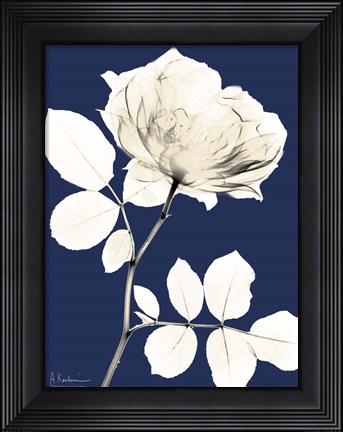 Framed Rose Cool Dynasty 1 Print