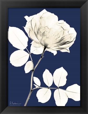 Framed Rose Cool Dynasty 1 Print