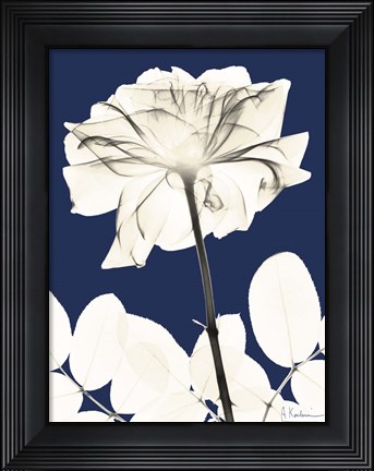 Framed Rose Cool Dynasty 2 Print