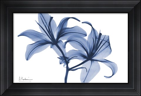 Framed Indigo Infused Lily 2 Print