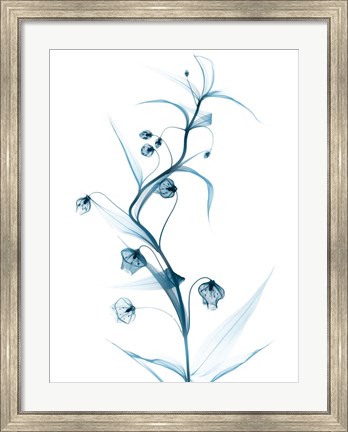 Framed Blue Globe Lily Print