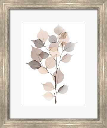 Framed Sandy Myrtle Tree Print