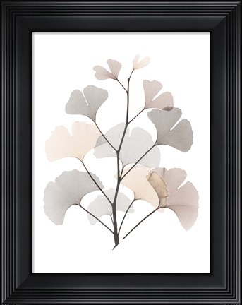 Framed Desert Ginko Print
