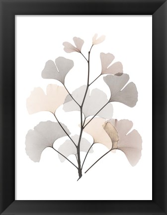 Framed Desert Ginko Print