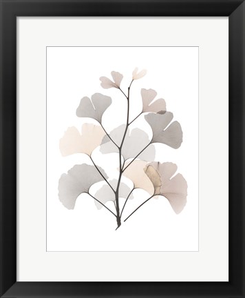 Framed Desert Ginko Print