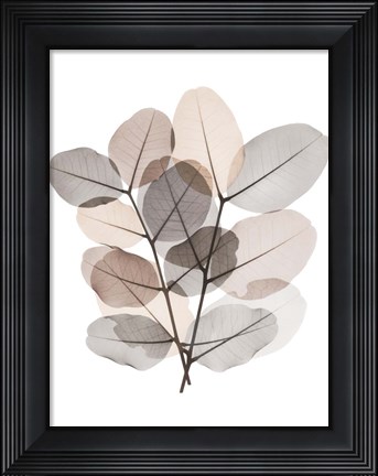 Framed Earth Tone  Bunch Print