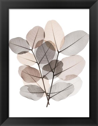 Framed Earth Tone  Bunch Print