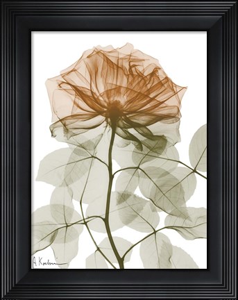Framed Urban Jungle Rose 1 Print