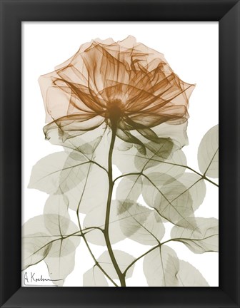 Framed Urban Jungle Rose 1 Print