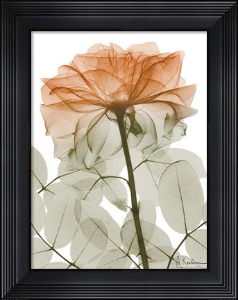 Framed Urban Jungle Rose 2 Print
