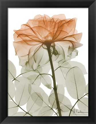 Framed Urban Jungle Rose 2 Print