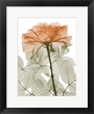 Framed Urban Jungle Rose 2 Print