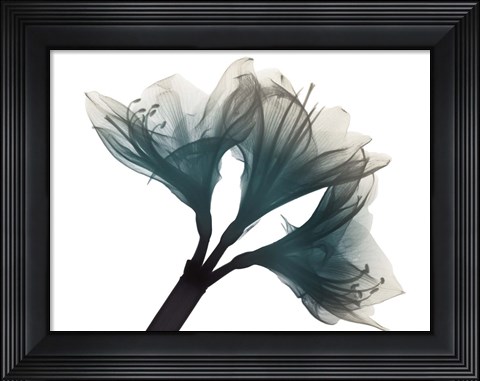 Framed Urban Twins Print