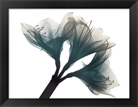 Framed Urban Twins Print