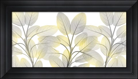 Framed Illuminated Beauty 1 Print