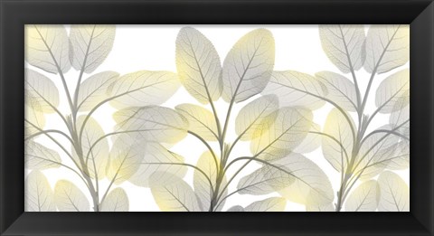 Framed Illuminated Beauty 1 Print