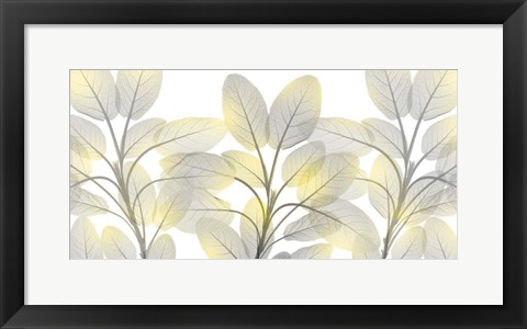 Framed Illuminated Beauty 1 Print