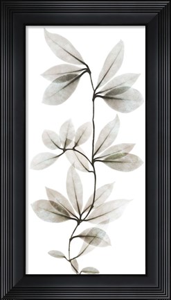 Framed Sandy Wonder 1 Print