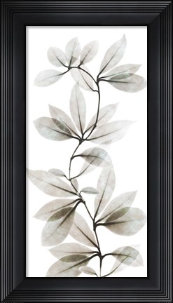 Framed Sandy Wonder 2 Print