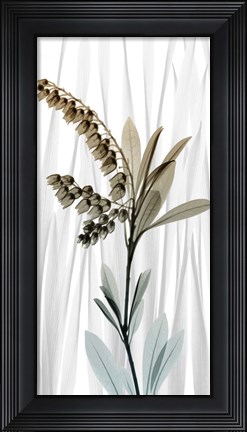 Framed Suave Snowdrops 1 Print