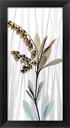 Framed Suave Snowdrops 1 Print