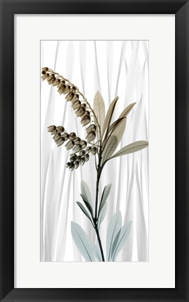 Framed Suave Snowdrops 1 Print