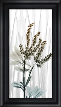 Framed Suave Snowdrops 2 Print