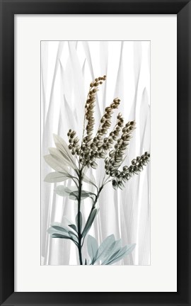 Framed Suave Snowdrops 2 Print