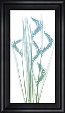 Framed Serene Flourish 1 Print