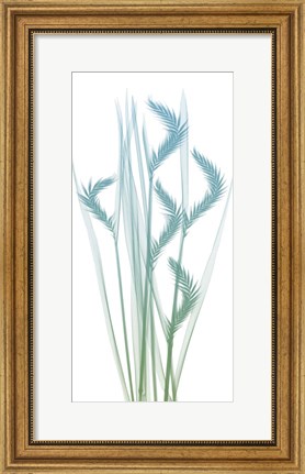 Framed Serene Flourish 1 Print