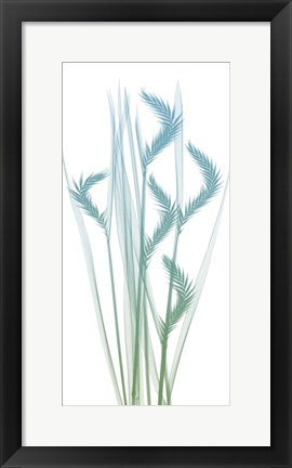 Framed Serene Flourish 1 Print